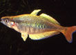image008.jpg