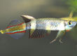 image013.jpg