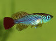 image016.jpg